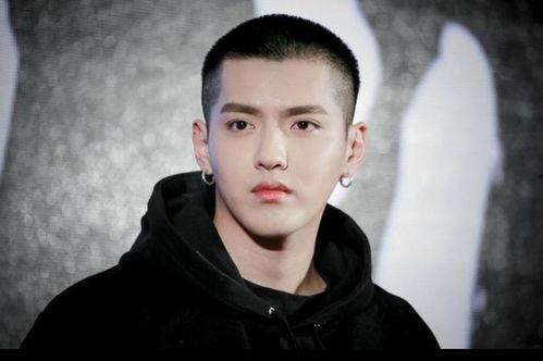 小八卦最新爆料杨紫肖战,神秘新剧引期待