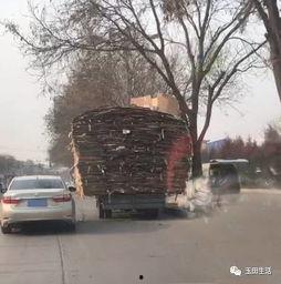 玉田2023年最新网友爆料,网友爆料揭示最新动态与热点事件  第1张